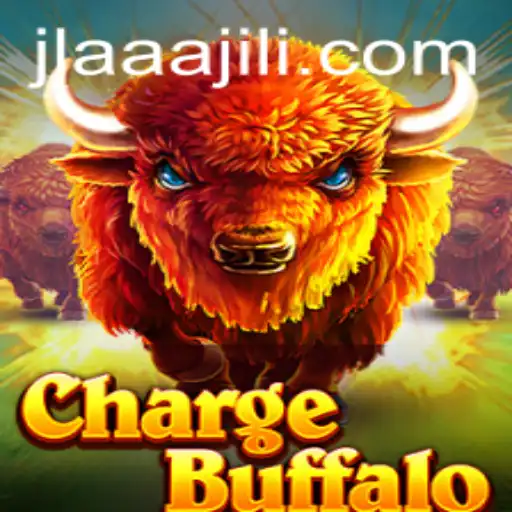 ChargeBuffalo: An In-Depth Exploration